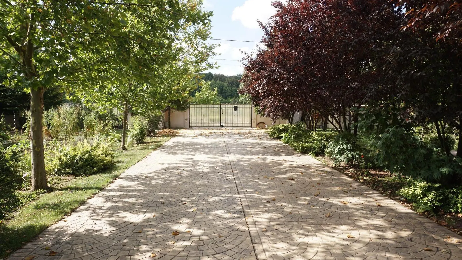 Villa Casuta Cires - Therme & Aeroport Otopeni Corbeanca